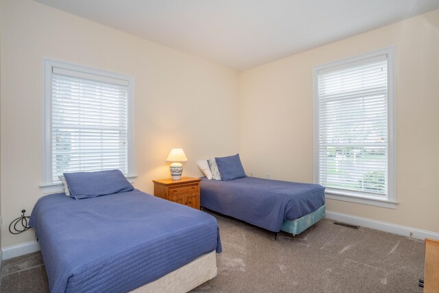 bedroom with baseboards and carpet floors