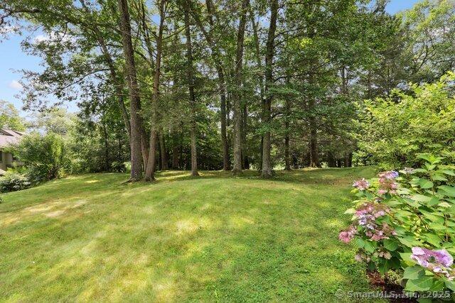 122 Heritage Vlg Unit B, Southbury, CT 06488 - view of green lawn