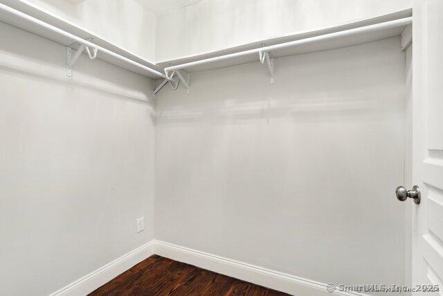 spacious closet featuring dark wood finished floors