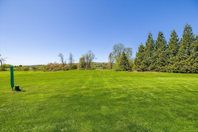 6 Margaret Cir, Pomfret, CT 06259 - view of yard