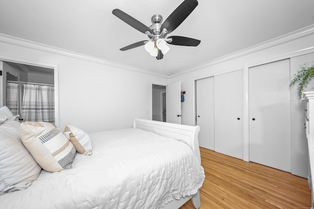 bedroom with light wood-style floors, a ceiling fan, multiple closets, and crown molding