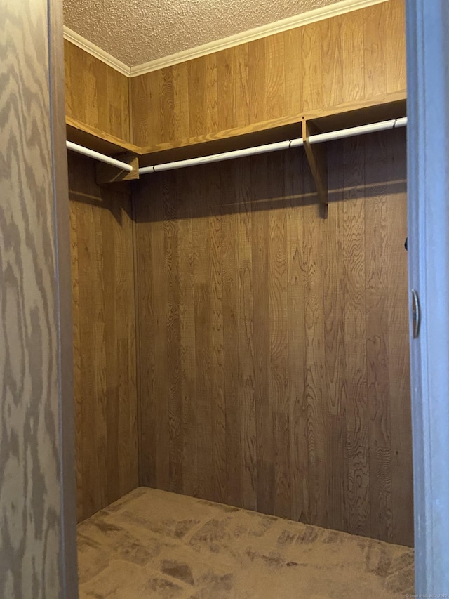 20 Connecticut Dr, Plainfield, CT 06374 - view of walk in closet