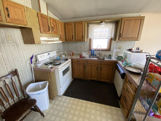 20 Connecticut Dr, Plainfield, CT 06374 - kitchen with white appliances, a sink, a textured ceiling, ventilation hood, and light countertops