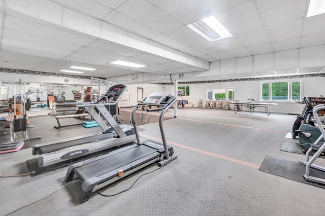 356 Green Rock Rock Unit 356, Shelton, CT 06484 - gym with a paneled ceiling and carpet