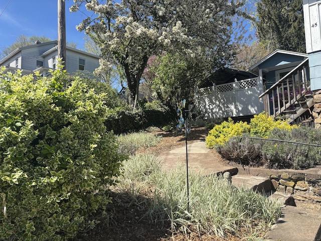 45 Ivy St, Branford, CT 06405 - view of yard