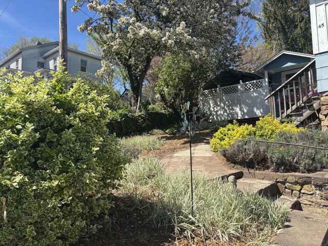 45 Ivy St, Branford, CT 06405 - view of yard