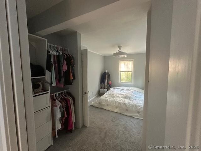 bedroom with carpet and a closet