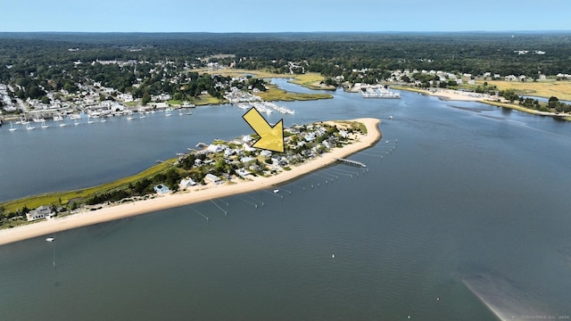 bird's eye view featuring a water view and a wooded view