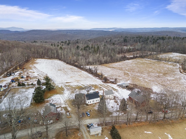 snowy aerial view featuring a mountain view and a wooded view