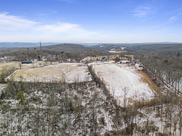 aerial view with a mountain view and a rural view