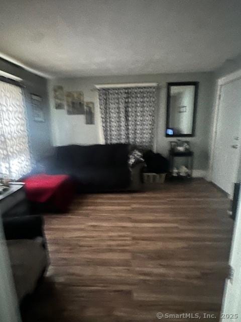 living room with wood finished floors