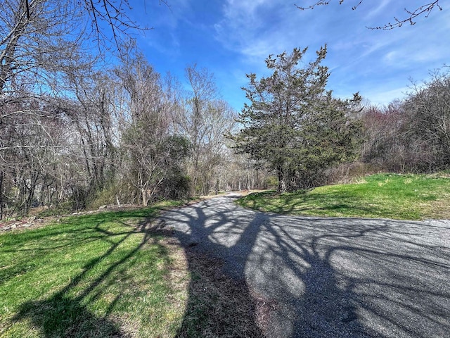 39 Tanner Ave, Norwich, CT 06360 - view of road with a forest view