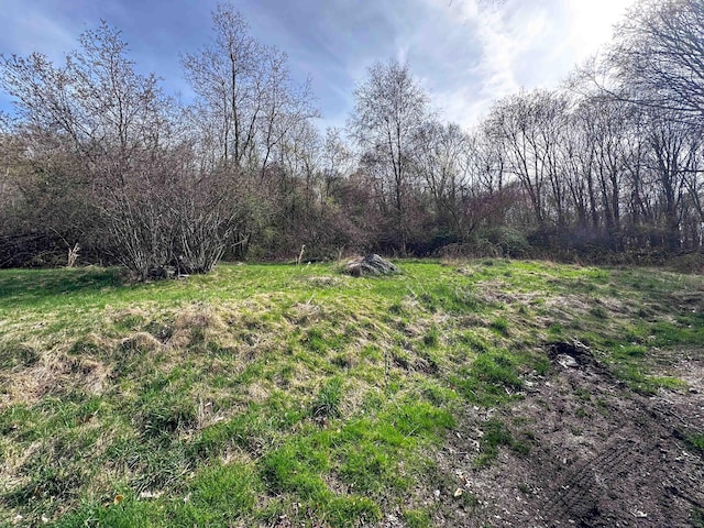 39 Tanner Ave, Norwich, CT 06360 - view of yard