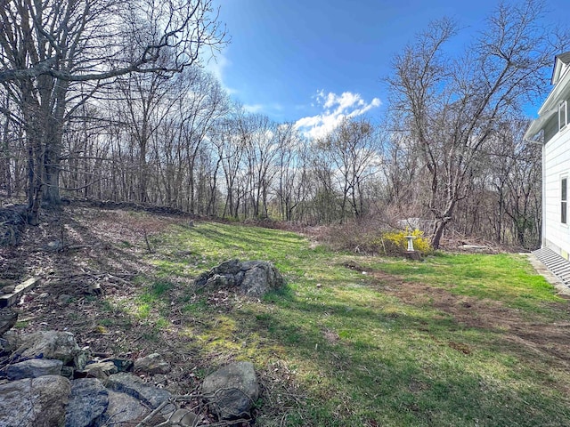 39 Tanner Ave, Norwich, CT 06360 - view of yard