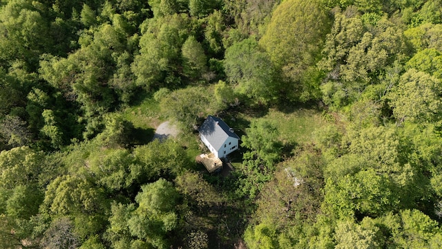 39 Tanner Ave, Norwich, CT 06360 - view of property location featuring a heavily wooded area