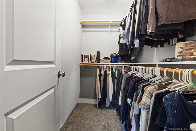 spacious closet with carpet floors