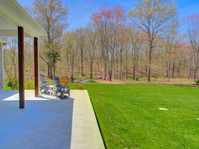 view of yard featuring a patio area