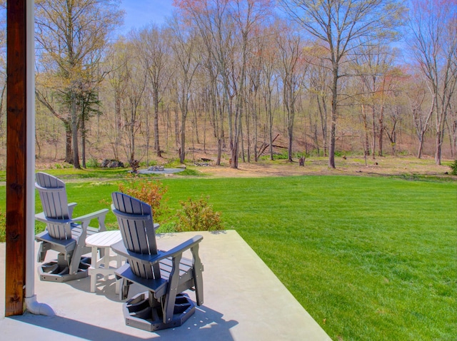 view of yard featuring a patio area