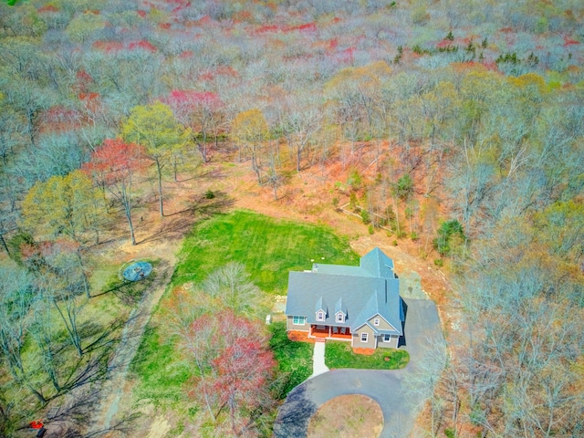 drone / aerial view