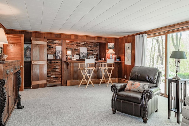 interior space with carpet flooring and wood walls