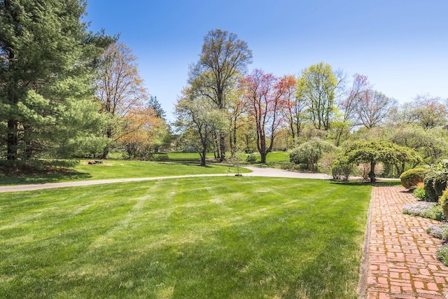 surrounding community featuring a yard