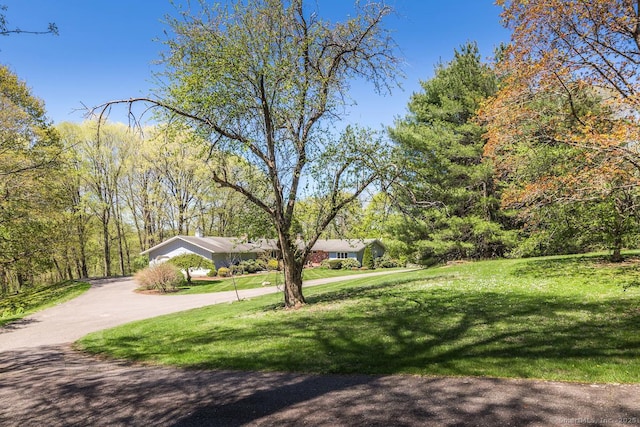 view of front of home featuring curved driveway and a front lawn