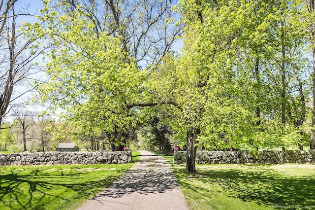 view of community featuring a yard
