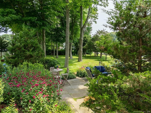 view of property's community featuring a yard and a patio area