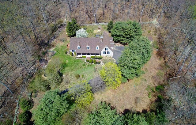 drone / aerial view