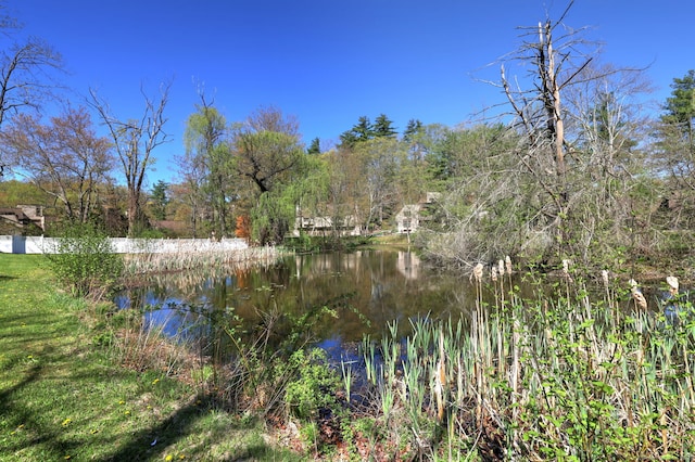 115 W Avon Rd, Farmington, CT 06085 - property view of water