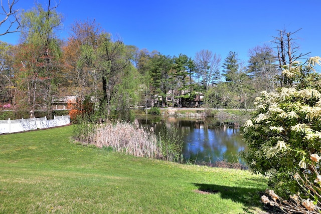 115 W Avon Rd, Farmington, CT 06085 - view of water feature with fence