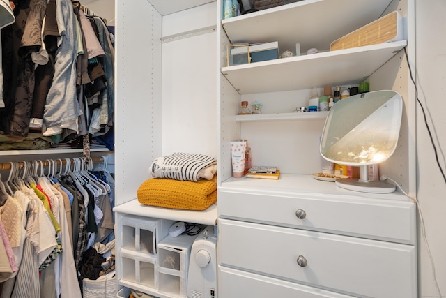view of spacious closet