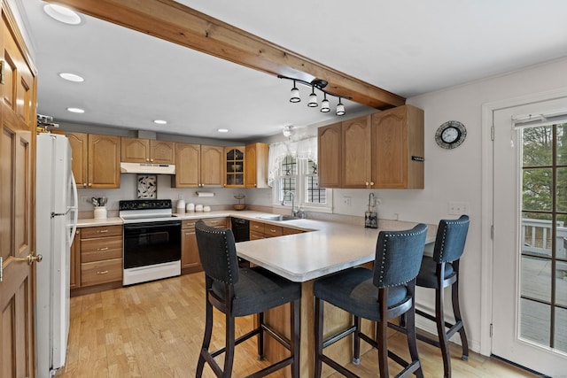 16 Willow Ln, Clinton, CT 06413 - kitchen with a peninsula, a kitchen bar, light wood-type flooring, under cabinet range hood, and range with electric stovetop