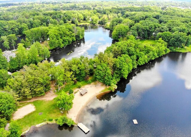 bird's eye view featuring a water view and a view of trees
