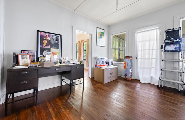 office space featuring wood-type flooring
