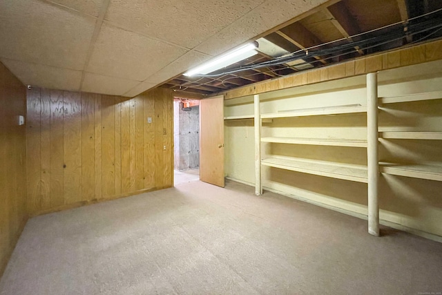 finished basement featuring carpet floors and wood walls
