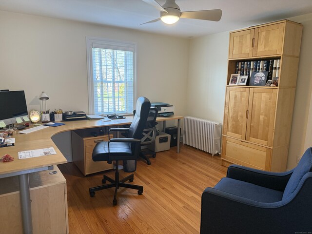 office with radiator, a ceiling fan, and light wood finished floors