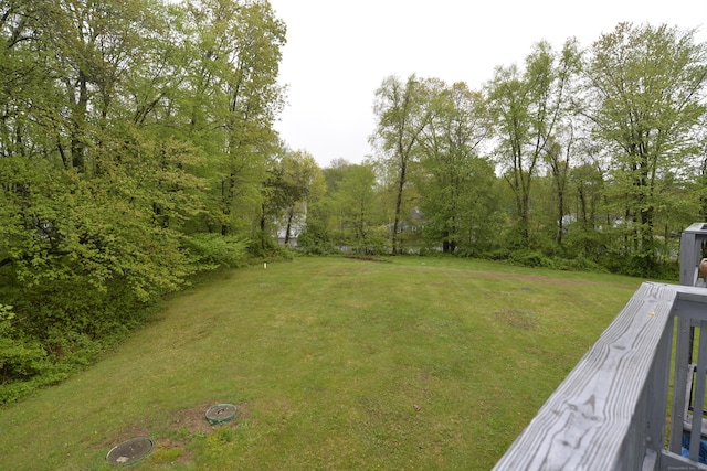 view of green lawn