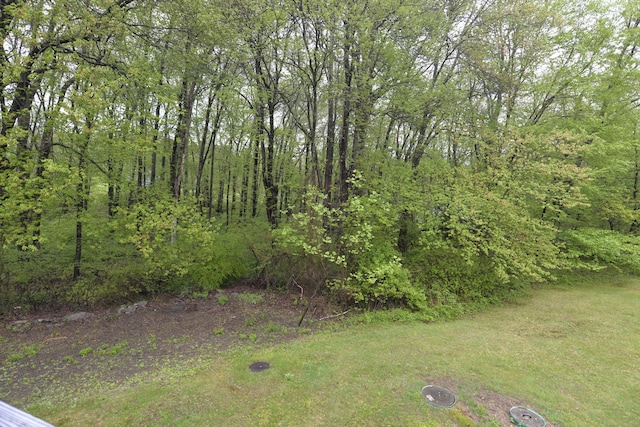 view of yard featuring a forest view