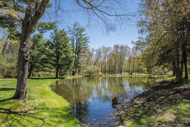water view with a wooded view