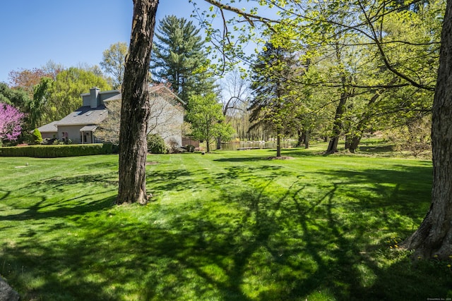 view of yard