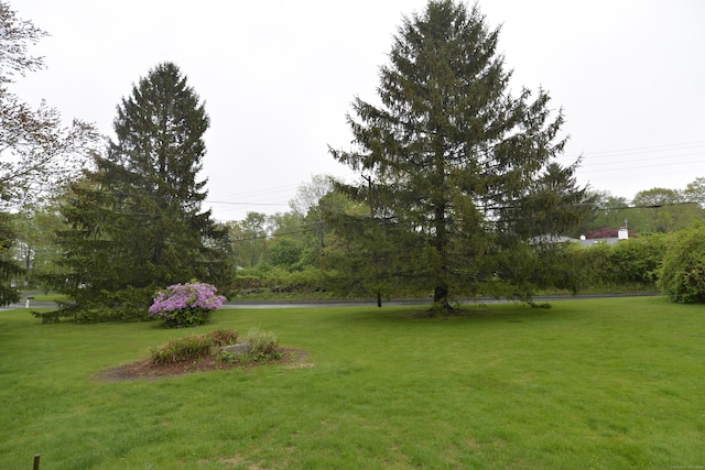 59 Old Ridgebury Rd, Danbury, CT 06810 - view of yard
