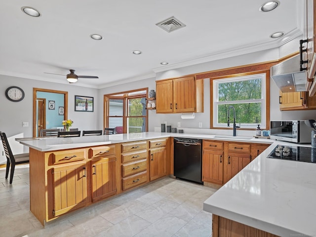 95 Pepperidge Cir, Stratford, CT 06614 - kitchen featuring plenty of natural light, a sink, light countertops, black appliances, and a peninsula
