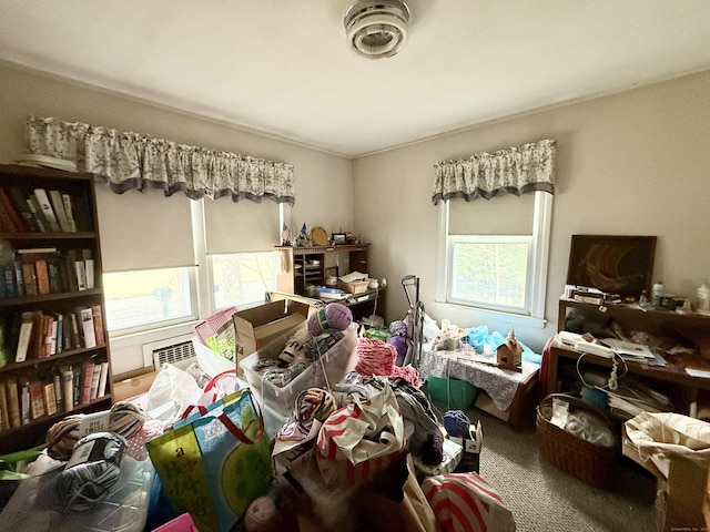 miscellaneous room with carpet floors and a wealth of natural light