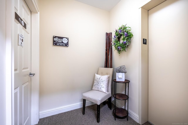 27 Catoonah St, Ridgefield, CT 06877 - sitting room with baseboards, carpet floors, and elevator