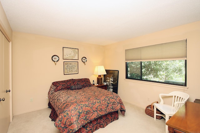 701 Heritage Vlg Unit B, Southbury, CT 06488 - bedroom with carpet flooring and a closet