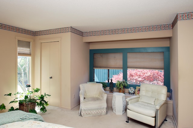701 Heritage Vlg Unit B, Southbury, CT 06488 - living area with carpet floors and baseboards