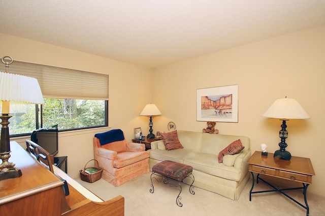 701 Heritage Vlg Unit B, Southbury, CT 06488 - view of carpeted living room
