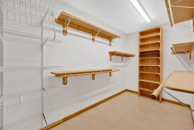 view of walk in closet