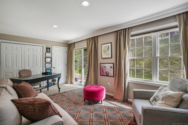 1803 Revere Rd, Danbury, CT 06811 - office space featuring baseboards, ornamental molding, carpet, and recessed lighting